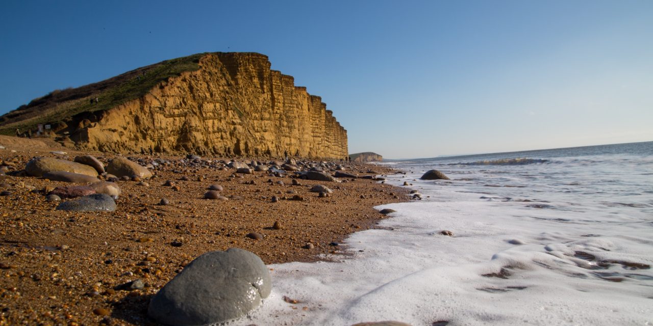 Party down in Dorset